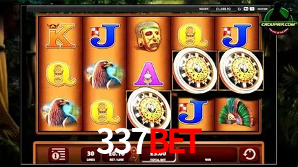 A Experiência Imersiva dos Cassinos Ao Vivo no 337bet